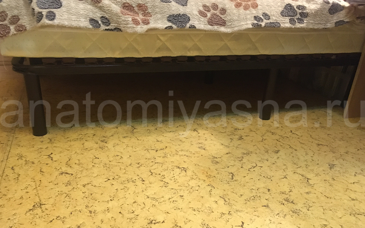 отзыв о Основание Lonax Эктив Бест фото 2